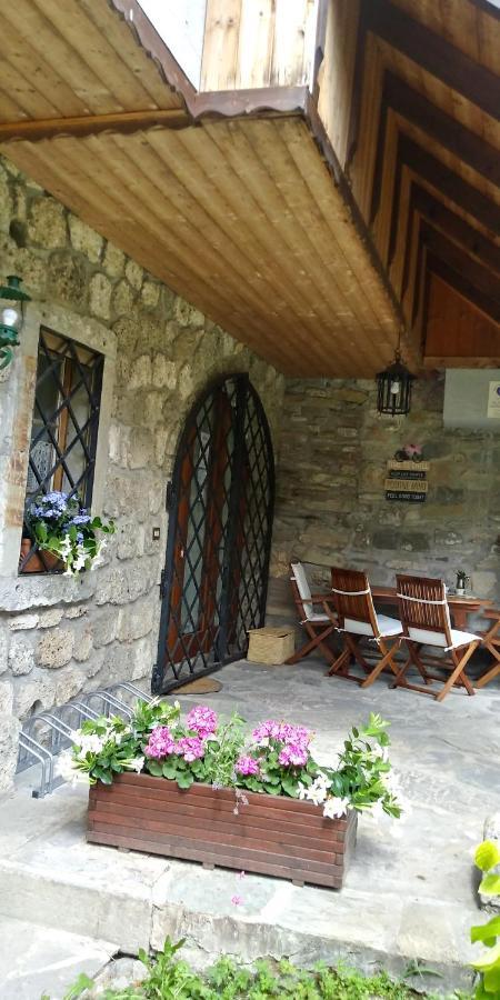 La Finestra Sulla Contea Villa Ovaro Dış mekan fotoğraf